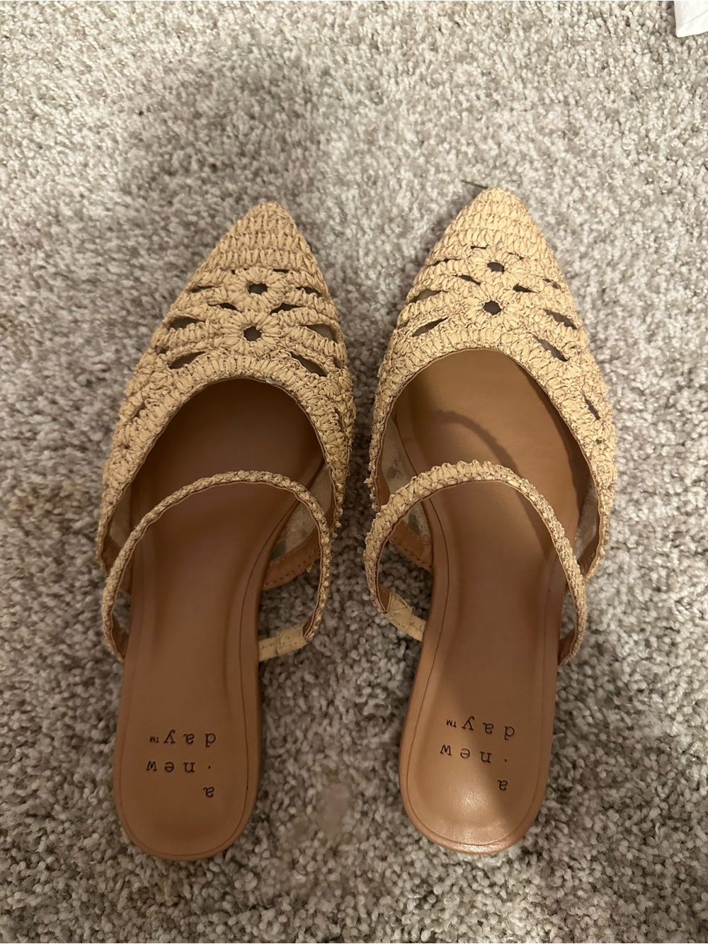A New Day Natural Woven Raffia Pointed Toe Mules